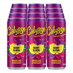 Netto Marken-Discount Calypso Berry Bloom Zero 0,33 Liter Dose, 12er Pack Angebot