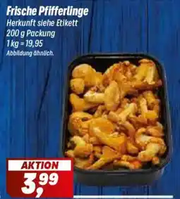 Simmel Frische Pfifferlinge Angebot