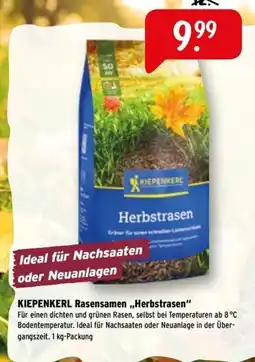 Raiffeisen Markt KIEPENKERL Rasensamen „Herbstrasen“ Angebot