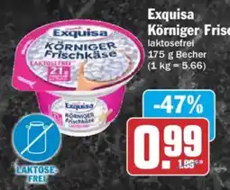 AEZ Exquisa Körniger Frischkäse Angebot