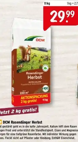 Raiffeisen Markt DCM Rasendünger Herbst Angebot