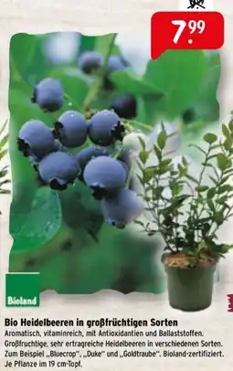 Raiffeisen Markt Bio Heidelbeeren in großfrüchtigen Sorten Angebot