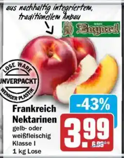 AEZ Bayard Nektarinen Angebot