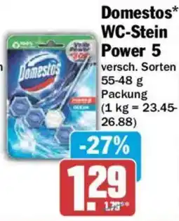 AEZ Domestos WC-Stein Power 5 Angebot