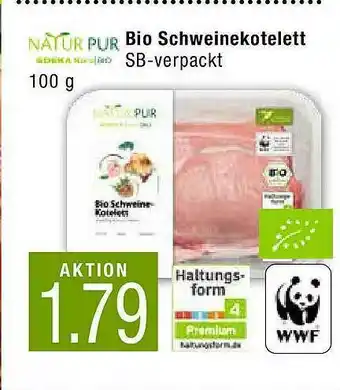 Marktkauf Natur Pur Bio Schwienekotelett Angebot