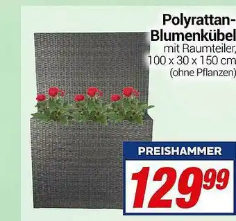 CENTERSHOP Polyrattan-blumenkübel Angebot