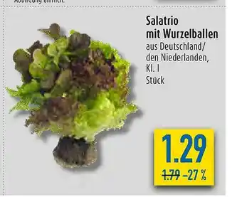 diska Salatrio Mit Wurzelballen Angebot