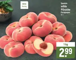 Famila Nord Ost Spanien wilde Pfirsiche Paraguayos Angebot