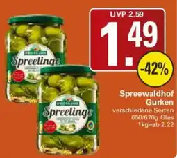 WEZ Spreewaldhof Gurken Angebot