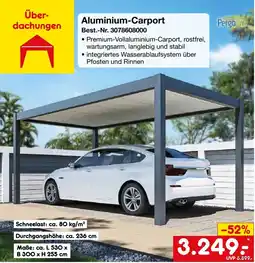 Netto Marken-Discount Aluminium-Carport Pergoline Angebot