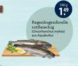 V Markt Regenbogenforelle Angebot
