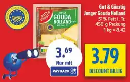 diska JUNGER GOURDA HOLLAND Angebot