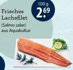 V Markt Frisches Lachsfilet Angebot