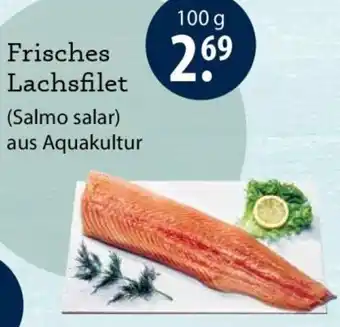 Frisches Lachsfilet