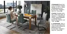 Opti Wohnwelt Schwingstuhl Angebot