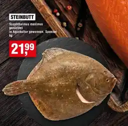 Handelshof Steinbutt Angebot
