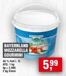 Handelshof BAYERNLAND MOZZARELLA GOURMINI Angebot