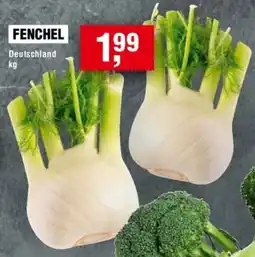 Handelshof Fenchel Angebot