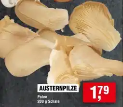 Handelshof Austernpilze Angebot