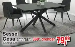 Möbelfundgrube Sessel Gesa Angebot