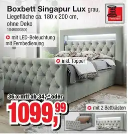 Möbelfundgrube Boxbett Singapur Lux grau Angebot