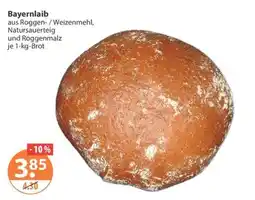 V Markt Bayernlaib Angebot