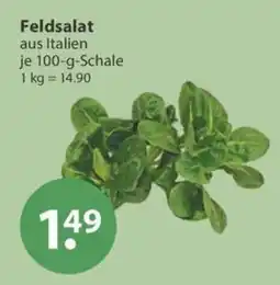 V Markt Feldsalat Angebot