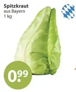 V Markt Spitzkraut aus Bayern Angebot