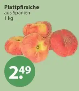 V Markt Plattpfirsiche Angebot
