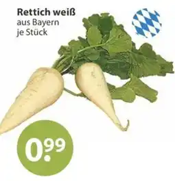 V Markt Rettich weiß aus Bayern Angebot