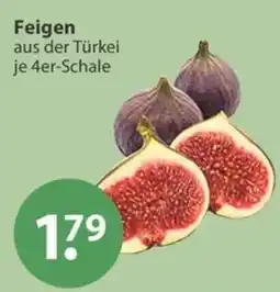 V Markt Feigen Angebot