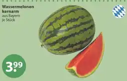 V Markt Wassermelonen kernarm aus Bayern Angebot