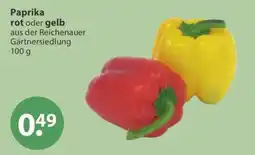 V Markt Paprika rot oder gelb aus der Reichenauer Gärtnersiedlung Angebot