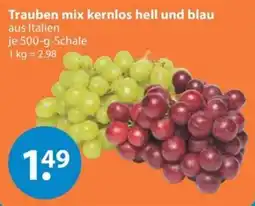 V Markt Trauben mix kernlos hell und blau Angebot
