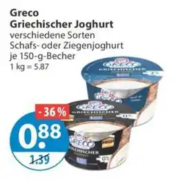 V Markt Greco Griechischer Joghurt Angebot