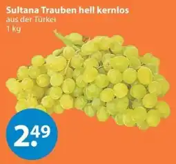 V Markt Sultana Trauben hell kernlos Angebot