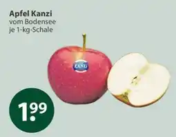 V Markt Apfel Kanzi Angebot
