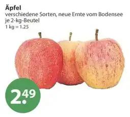 V Markt Äpfel Angebot