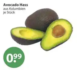 V Markt Avocado Hass Angebot