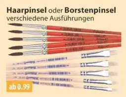 V Markt Haarpinsel oder Borstenpinsel Angebot