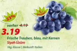 Hepsi-Markt Frische Trauben, blau, mit Kernen Siyah Üzüm Angebot