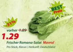 Hepsi-Markt Frischer Romana-Salat Mavrul Angebot