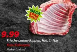 Hepsi-Markt Frische Lamm-Rippen Angebot