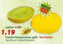 Hepsi-Markt Frische Honigmelone, gelb Sari Kavun Angebot