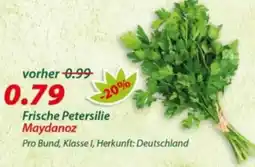 Hepsi-Markt Frische Petersilie Maydanoz Angebot