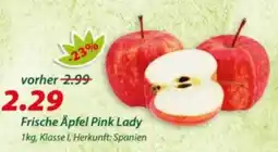Hepsi-Markt Frische Äpfel Pink Lady Angebot