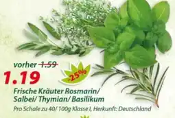 Hepsi-Markt Frische Kräuter Rosmarin/Salbei/Thymian/Basilikum Angebot