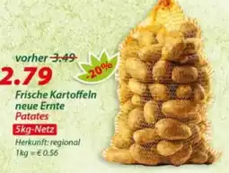 Hepsi-Markt Frische Kartoffeln neue Ernte Patates Angebot