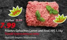 Hepsi-Markt Frisches Gehacktes Lamm und Rind Angebot