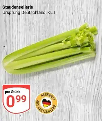 Globus Staudensellerie Angebot